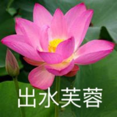 惟我独仙手游应用宝版下载